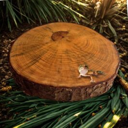 Wooden Pine Board